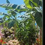 شقة Morena