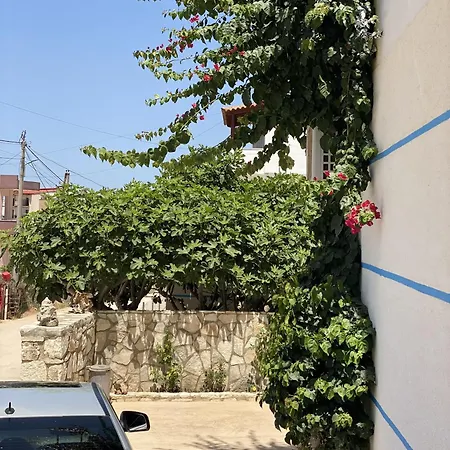 Morena Daire Ksamil